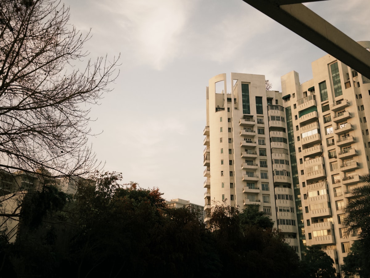 Tall residential towers with curved balconies rising above mature trees at dusk